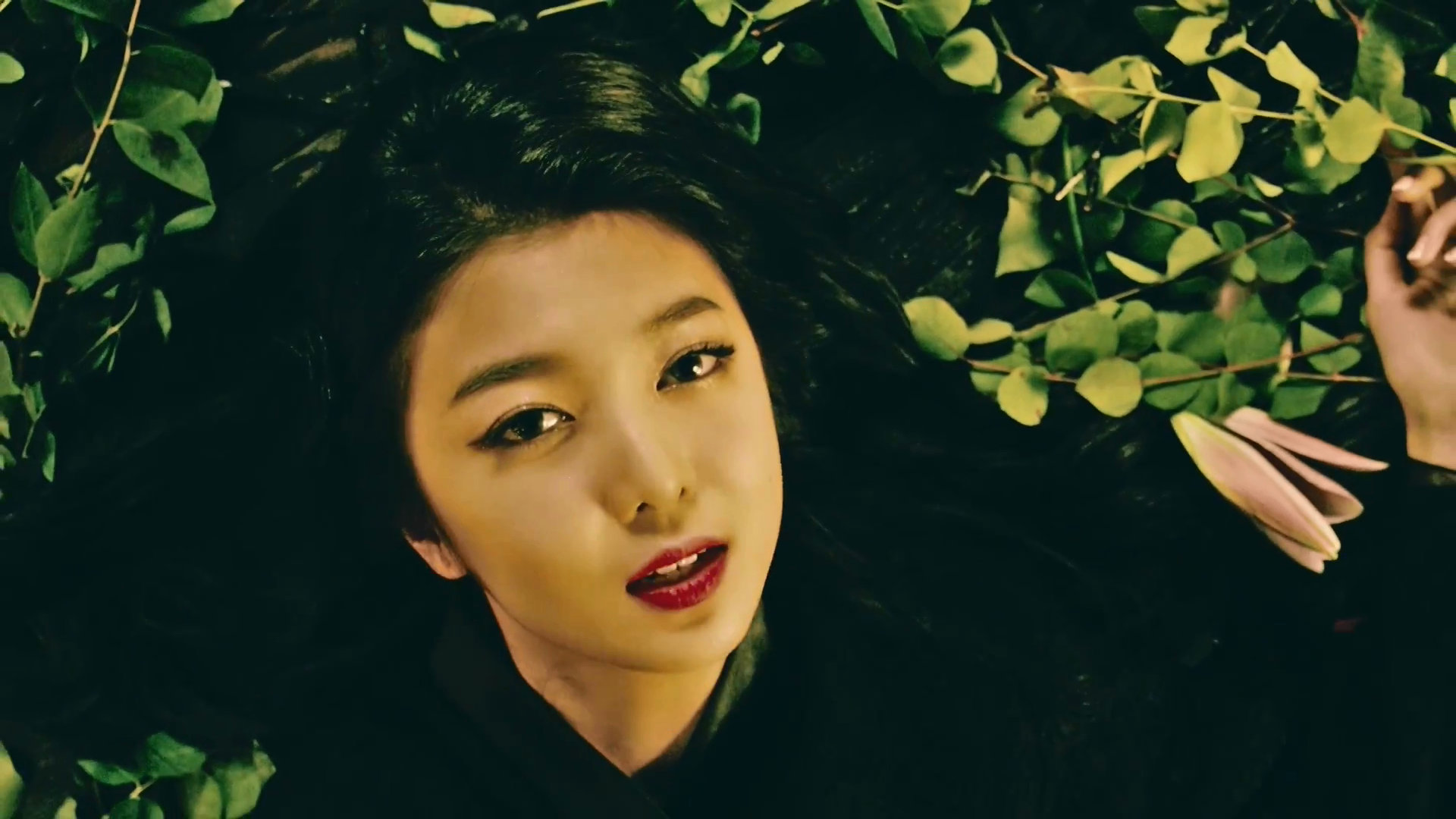 Dreamcatcher - Chase Me who's who - K-Pop Database / dbkpop.com