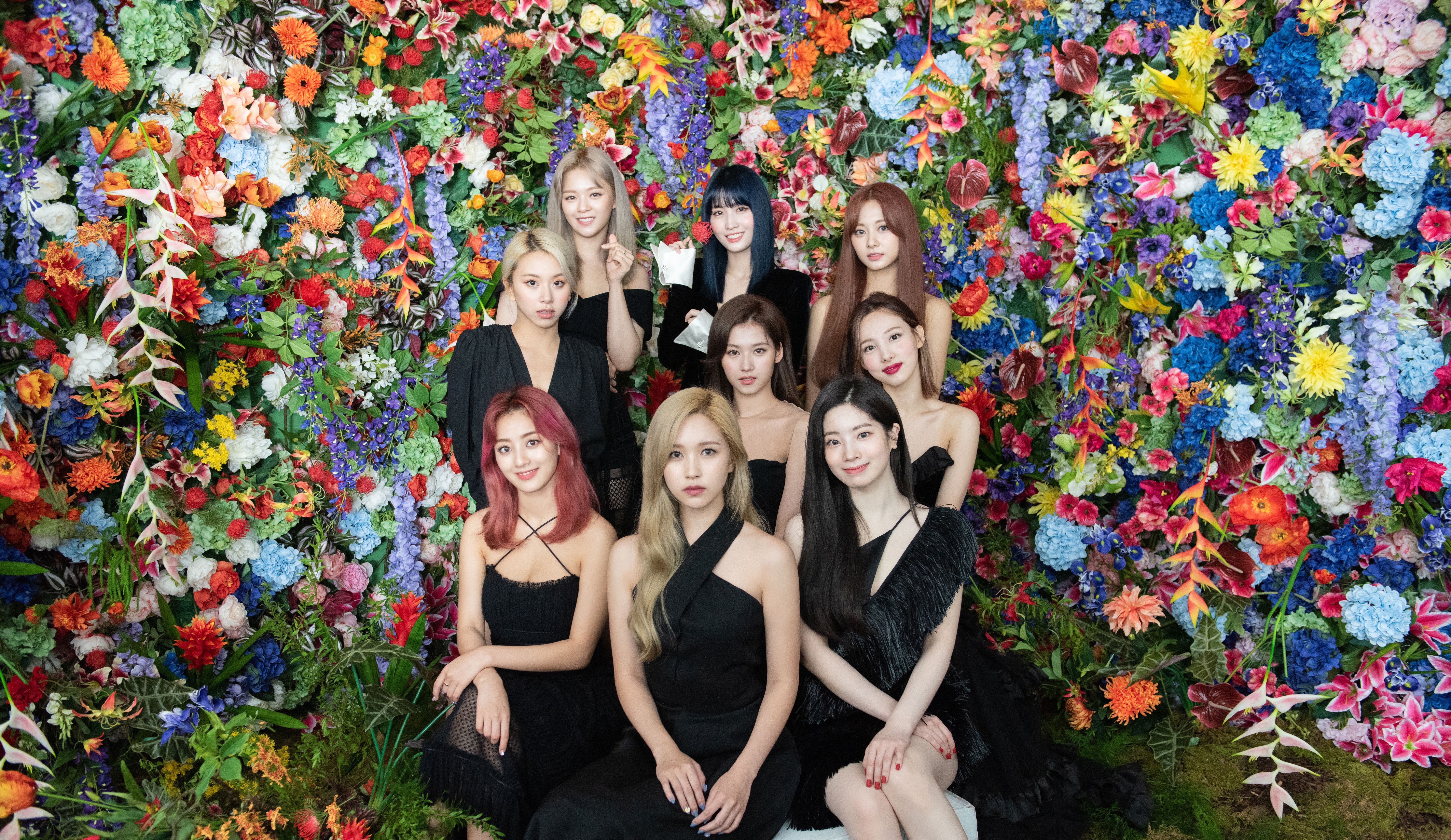 TWICE, Wiki Kpop