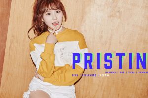 Pristin Disbanded - Concept Photos Megapost - K-Pop Database / Dbkpop.com