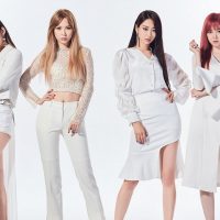 9MUSES Group Profile