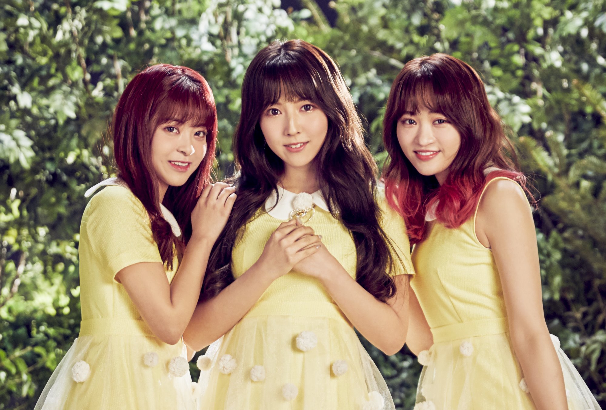 Honey Popcorn (허니팝콘) is a 3-membered girl grop consisting of 3 Japanese gir...