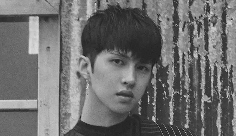N (VIXX) Profile - K-Pop Database / dbkpop.com