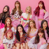 Cherry Bullet Profile Cherry Bullet Profile
