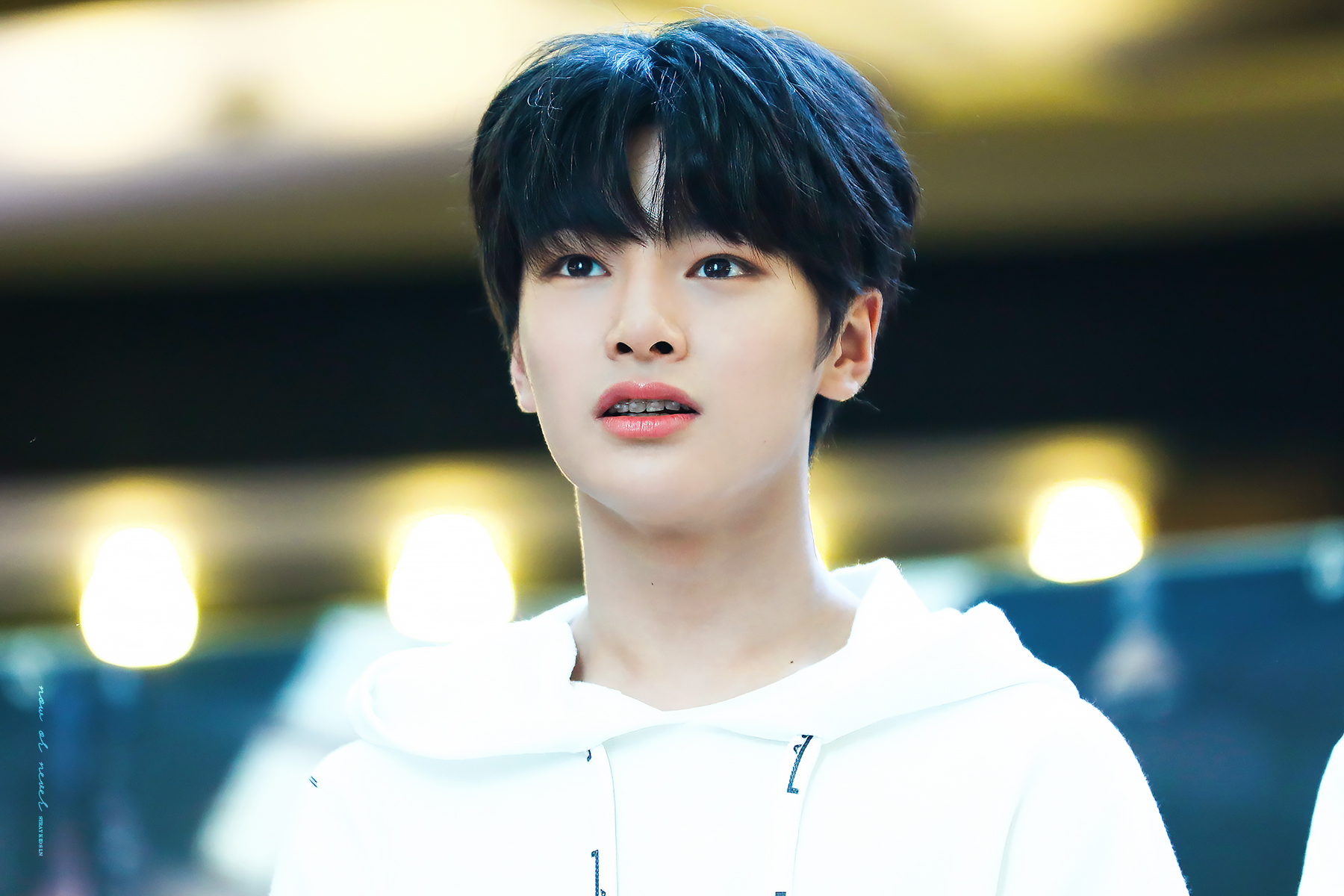 Kpop Idol Telegraph