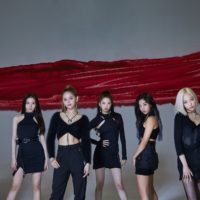 CLC Profile CLC Profile