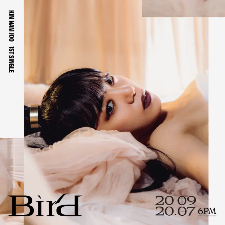 Kim Namjoo (Apink) Bird Teaser Photos (Restrained/Resist) (HQ)