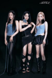 VIVIZ Voyage Teaser 2 ZIG ver. Group