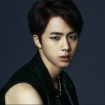 BTS Jin