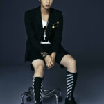 BTS Jin