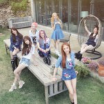 소나무
