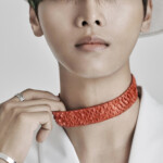 N VIXX