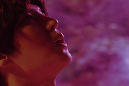 VIXX Leo Fantasy VIXX Leo Fantasy