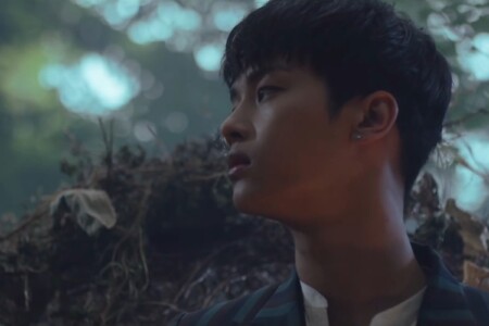 VIXX N Fantasy VIXX N Fantasy