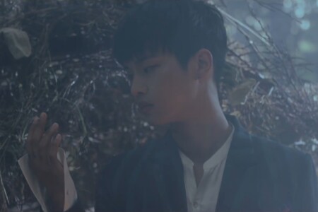 VIXX N Fantasy VIXX N Fantasy