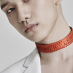 Hyuk VIXX