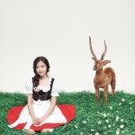 Jinsol April profile 진솔 에이프릴