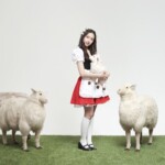 Yena April profile 예나 에이프릴