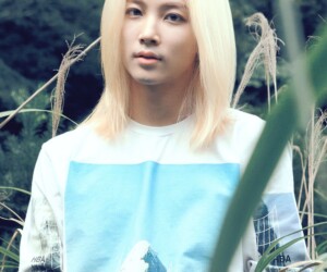 정한 세븐틴