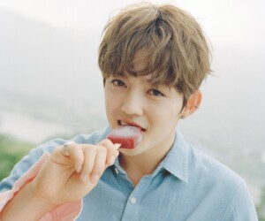 에스.쿱스	 세븐틴