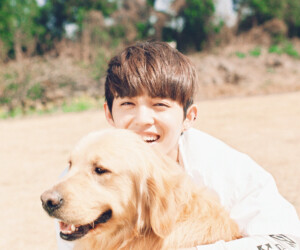 에스.쿱스 세븐틴