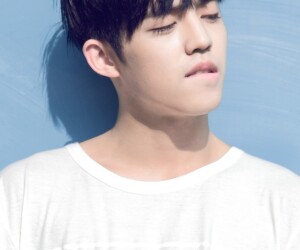 에스.쿱스 세븐틴