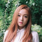 Gahyeon Dream Catcher (Minx) Gahyeon Dream Catcher