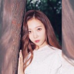 Handong Dream Catcher