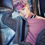BAP Rose Zelo