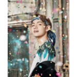 BTS You Never Walk Alone V