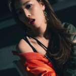 Kard Somin Rumor