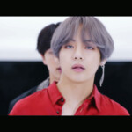 BTS DNA V