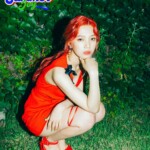 Red Velvet Joy Red Flavor Joy Red Summer