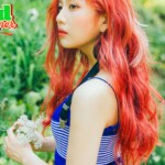 Red Velvet Joy Red Flavor Joy Red Summer