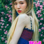 Red Velvet Wendy Red Flavor Wendy Red Summer