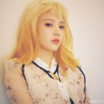 Red Velvet Joy Russian Roulette Joy Russian Roulette