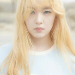 Red Velvet Irene Ice Cream Cake Irene Ice Cream Cake