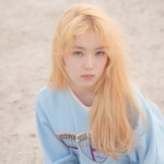 Red Velvet Irene Ice Cream Cake Irene Ice Cream Cake