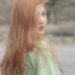 Red Velvet Joy Ice Cream Cake Joy Ice Cream Cake