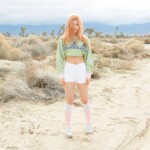 Red Velvet Joy Ice Cream Cake Joy Ice Cream Cake