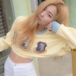 Red Velvet Seulgi Ice Cream Cake Seulgi Ice Cream Cake