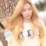 Red Velvet Seulgi Ice Cream Cake Seulgi Ice Cream Cake