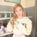 Red Velvet Seulgi Ice Cream Cake Seulgi Ice Cream Cake