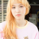 Red Velvet Wendy Ice Cream Cake Wendy Ice Cream Cake