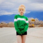 Red Velvet Wendy Ice Cream Cake Wendy Ice Cream Cake