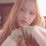 Red Velvet Yeri Ice Cream Cake Yeri Ice Cream Cake