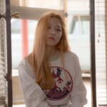 Red Velvet Yeri Ice Cream Cake Yeri Ice Cream Cake