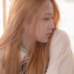 Red Velvet Yeri Ice Cream Cake Yeri Ice Cream Cake