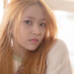 Red Velvet Yeri Ice Cream Cake Yeri Ice Cream Cake