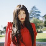 Red Velvet Perfect Velvet Seulgi Seulgi Perfect Velvet