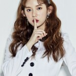 Momoland Daisy Great Momoland Daisy Great